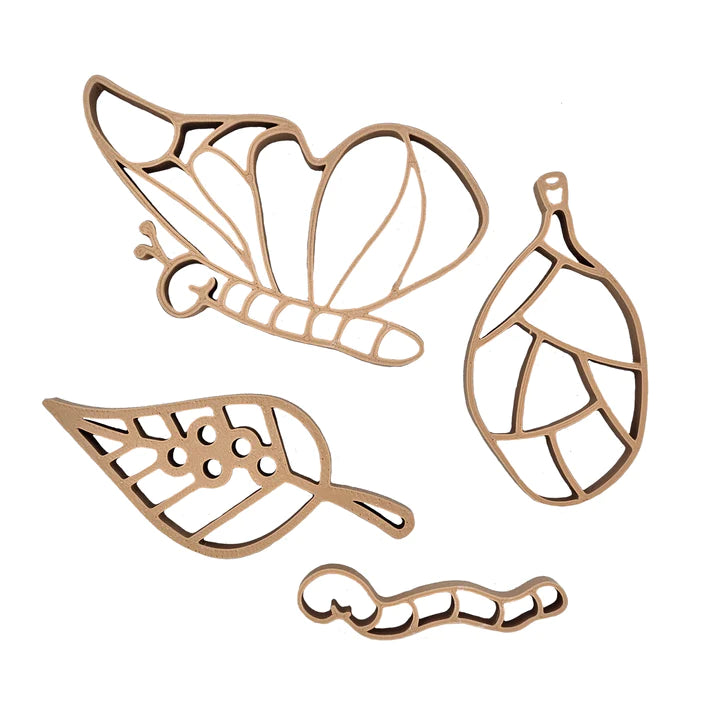 Grennn Uitstekers Vlinder Cyclus